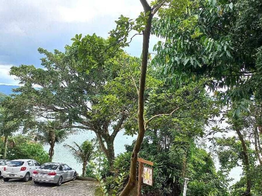 Uma área de estacionamento com vários carros, rodeada por vegetação exuberante e árvores.