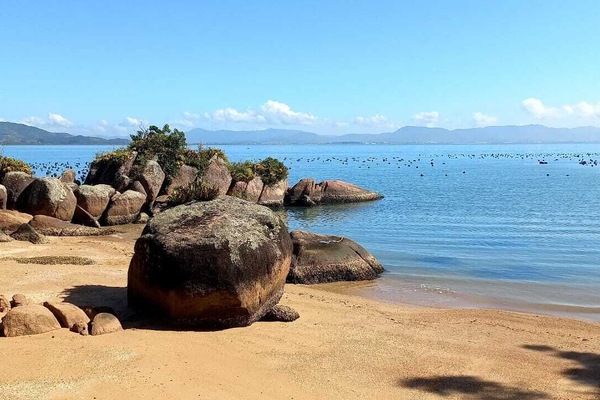 Playa privada, camastros, sombrillas y toallas de playa