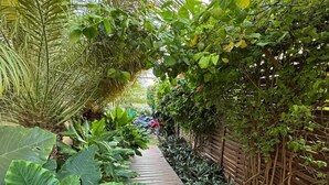A wooden pathway flanked by lush greenery and a bamboo fence. - Pousada Morro do Farol (Fernando de Noronha)