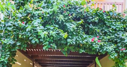 Pousada Morro do Farol