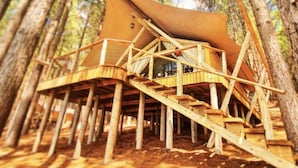 A wooden treehouse structure with a staircase leading up to a platform, surrounded by tall trees.