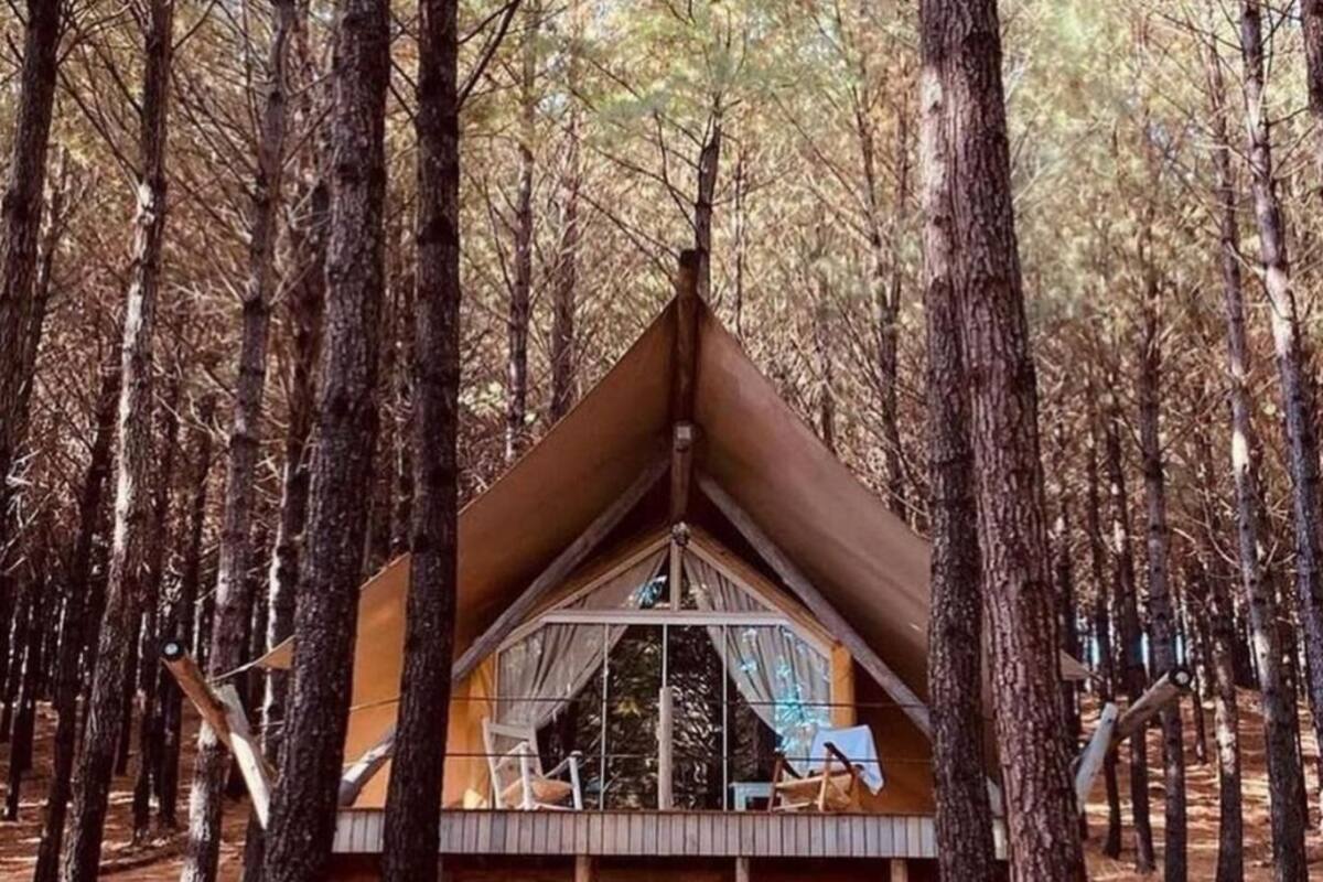 Une cabane située dans une forêt, dotée d’un toit à deux versants, de grandes fenêtres et d’une véranda.