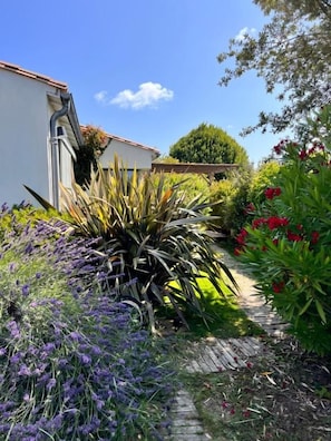 Un camí de jardí que condueix a un edifici blanc amb teulada inclinada, envoltat de plantes i flors diverses.