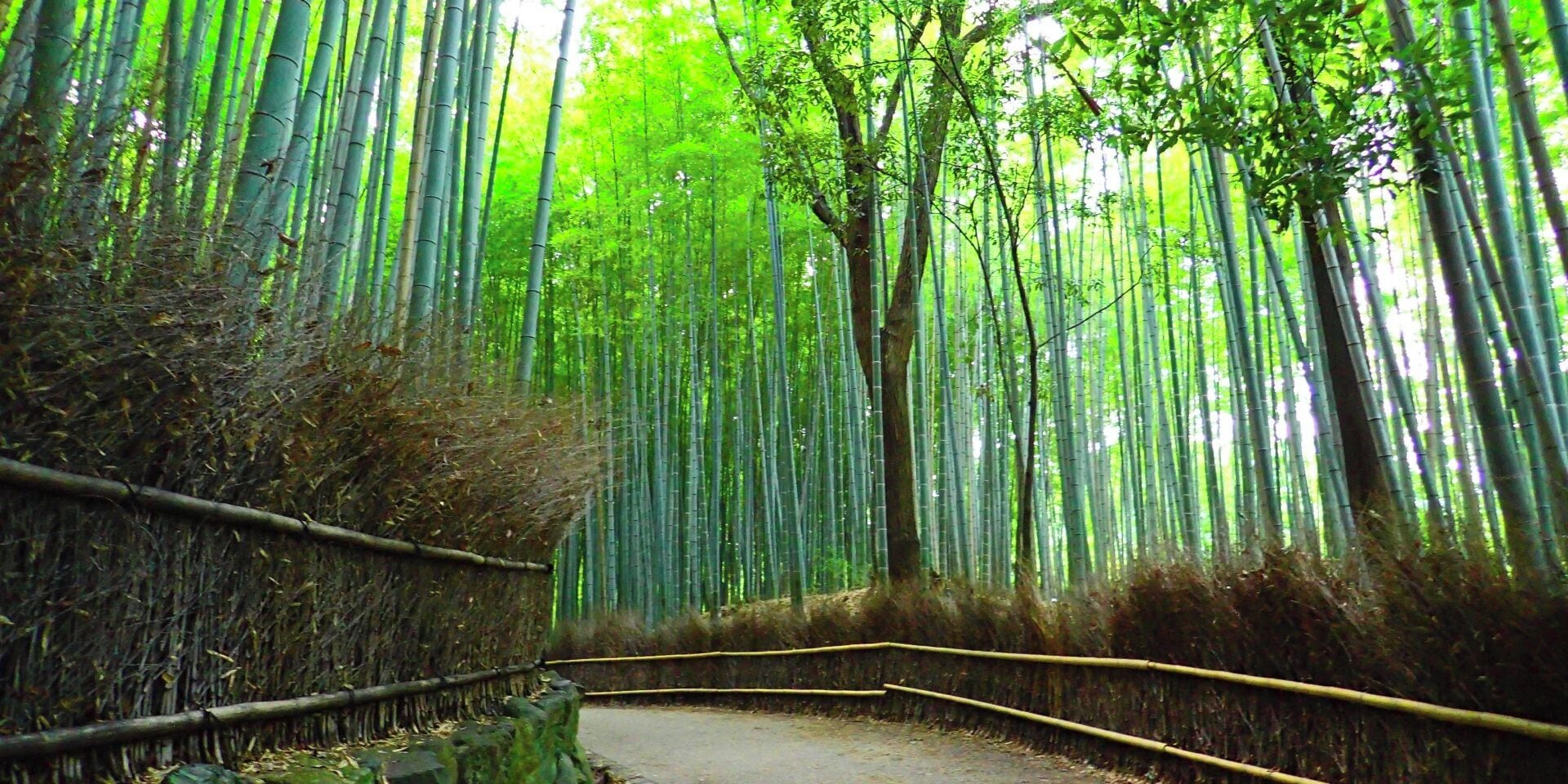 Photo - Rikyuan Kyoto Nishikyogoku room B