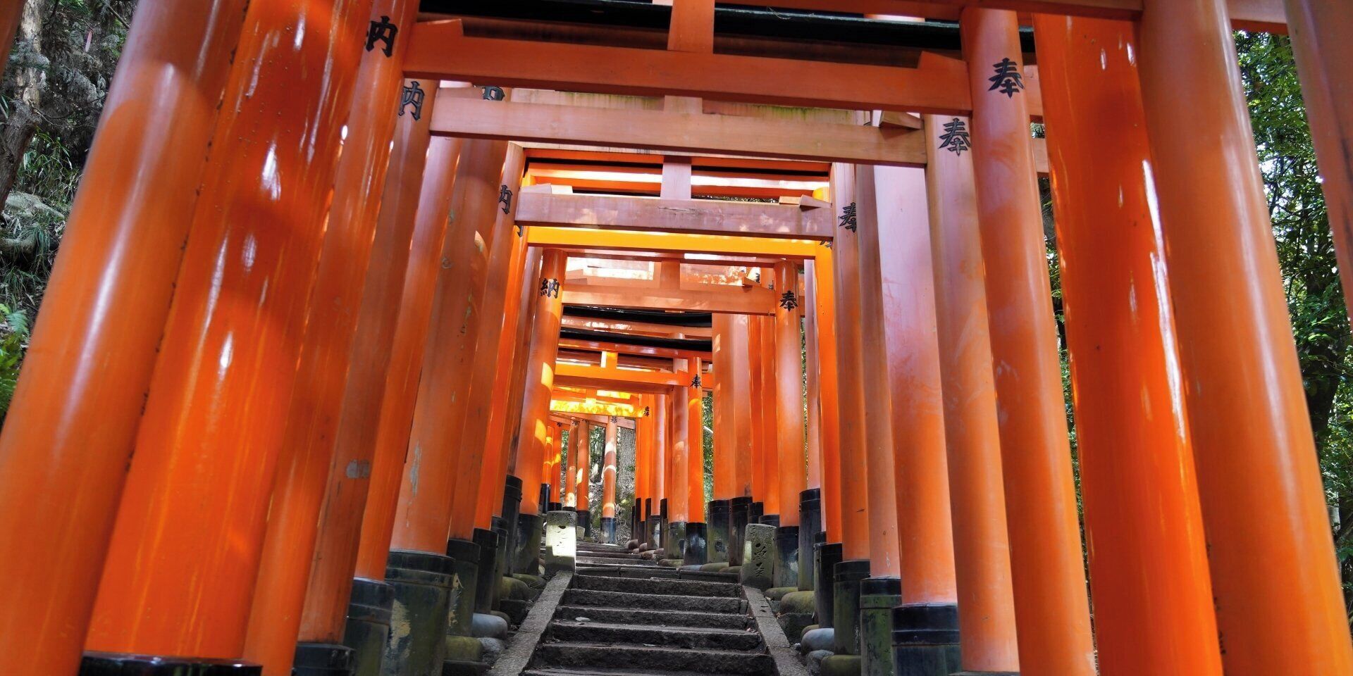 Photo - Rikyuan Kyoto Nishikyogoku room B