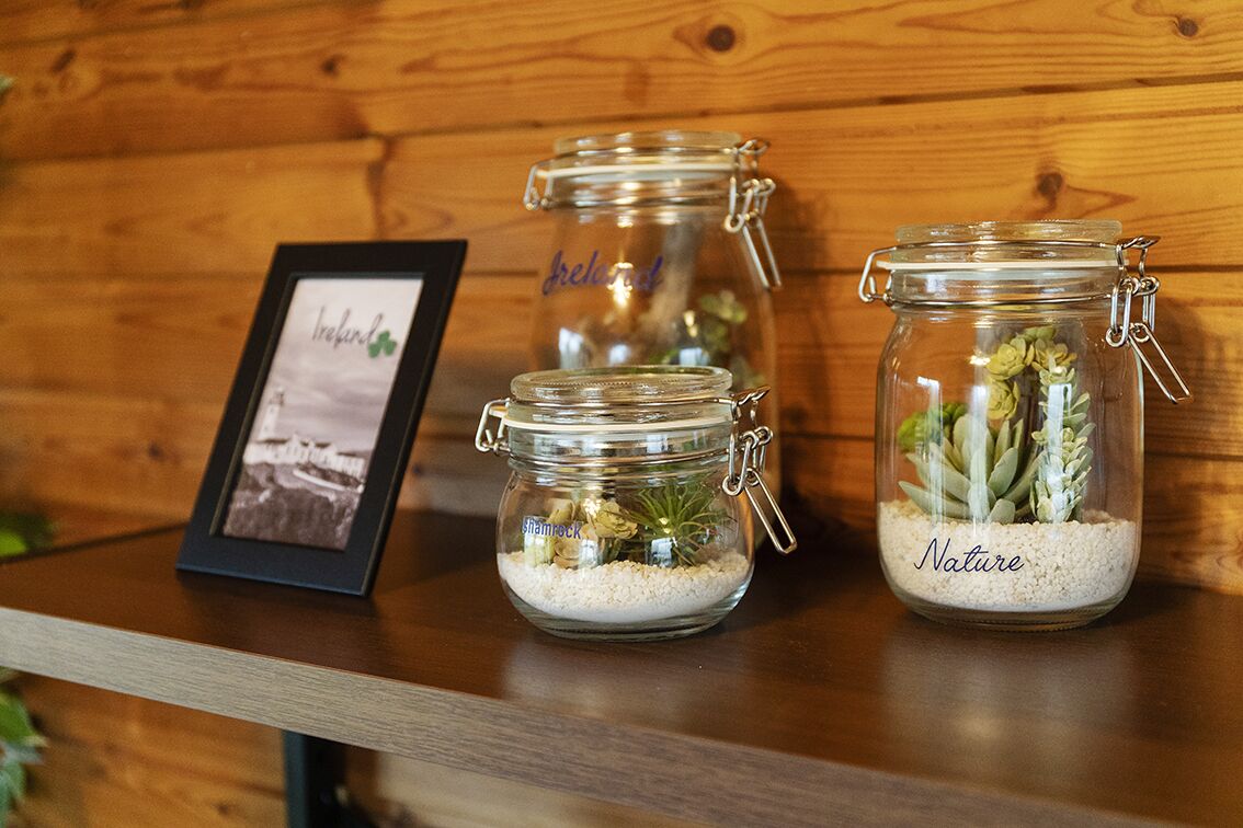 Three glass jars with metal clasps, each containing different plants and labeled with "Ireland" and "Nature".