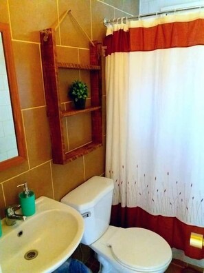 Ducha, jabón, papel higiénico