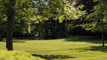 Un parc avec une pelouse, des arbres et un ciel dégagé.