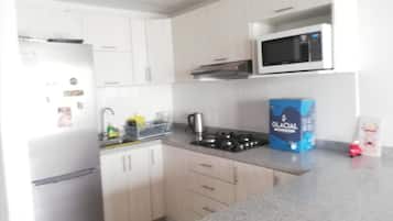 Full-size fridge, microwave, stovetop, blender