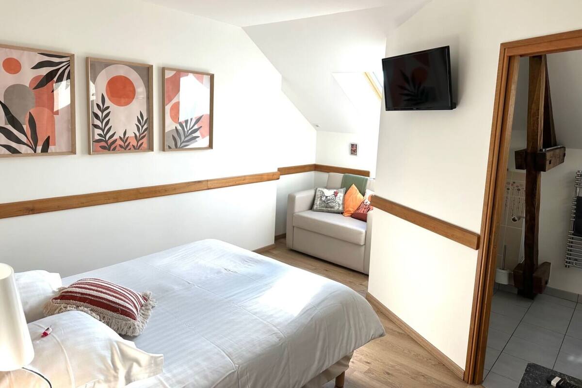 A bedroom with a bed, a TV, and a small seating area with a sofa and cushions.
