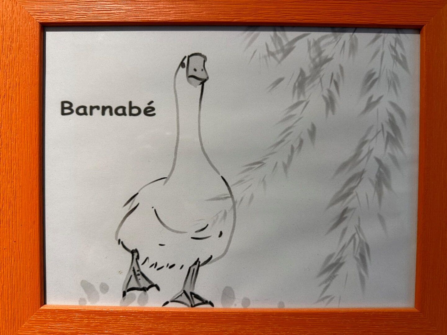 A framed drawing of a bird with the word 'Barnabé' on it.