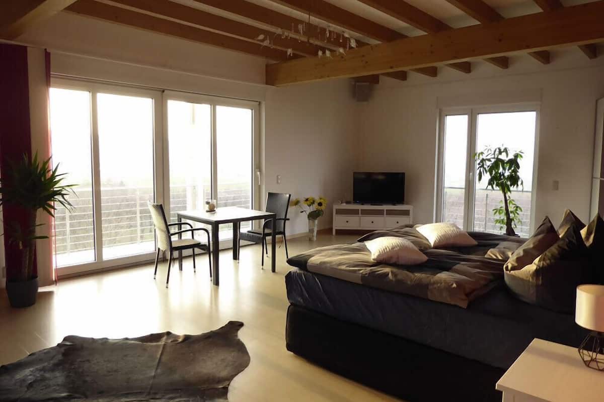 A spacious living room with a large bed, a TV, and a dining area with chairs and a table.
