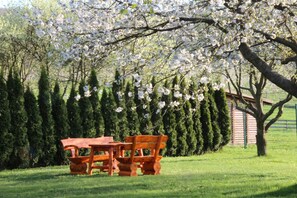 BBQ/picnic Area