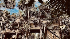 A tropical resort with palm trees, a thatched-roof structure, and a sandy ground. - Libelula Tulum Beachfront Hotel (Tulum)