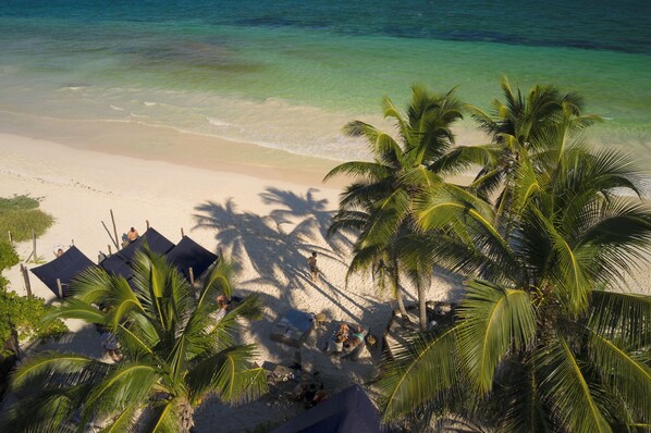 A beach with clear turquoise water, palm trees, and a sandy area with umbrellas and lounge chairs. - Libelula Tulum Beachfront Hotel (Tulum)