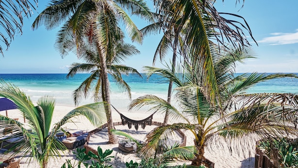 A beach with palm trees, a hammock, and a sandy area with lounge chairs. - Libelula Tulum Beachfront Hotel (Tulum)