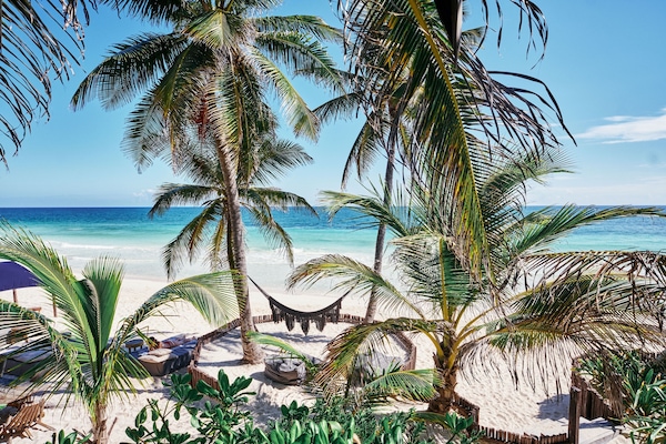 Cabaña exclusiva, 1 cama de matrimonio grande, terraza, vistas al mar | Sábanas de algodón egipcio y ropa de cama de alta calidad