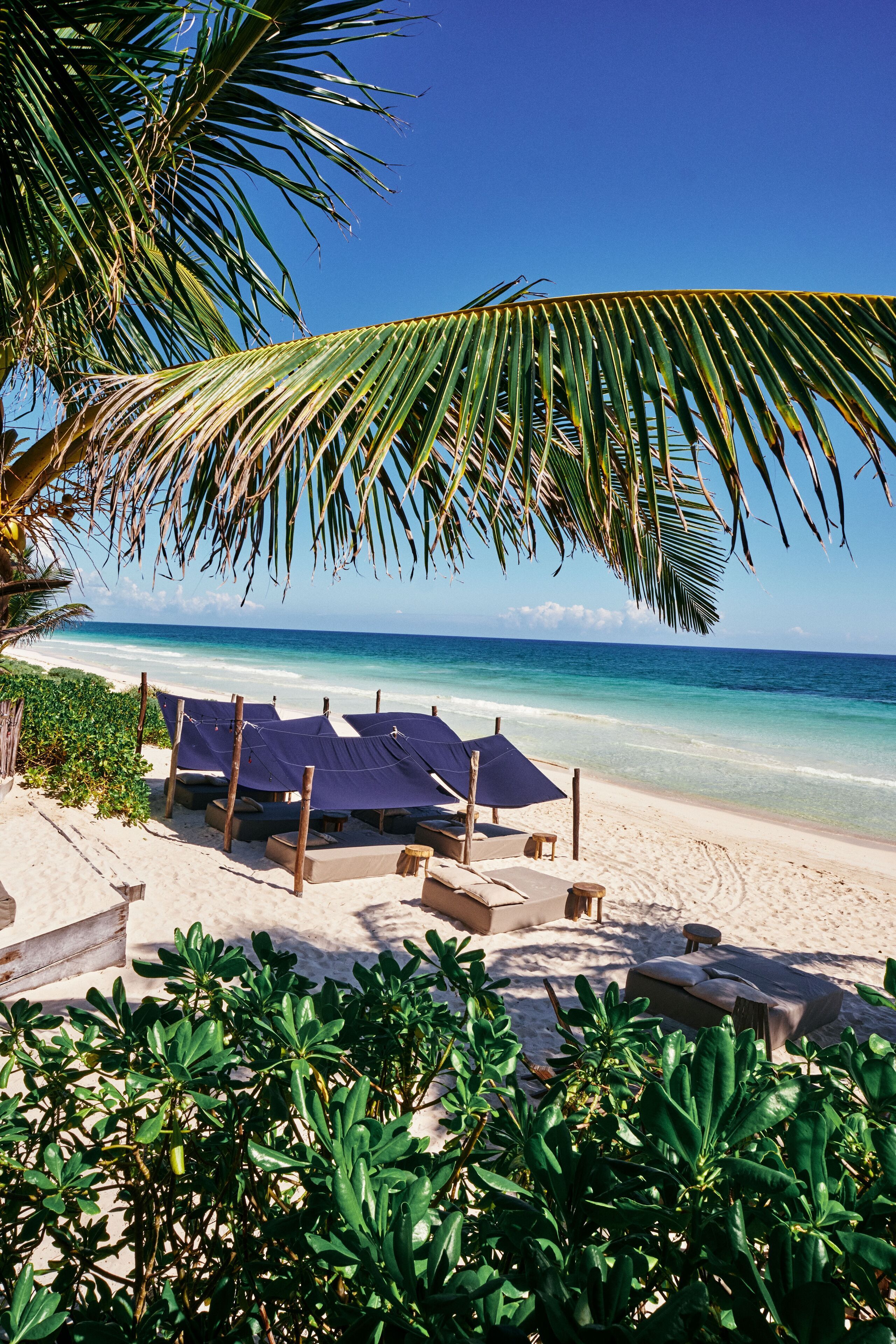 Foto - Libelula Tulum Beachfront Hotel