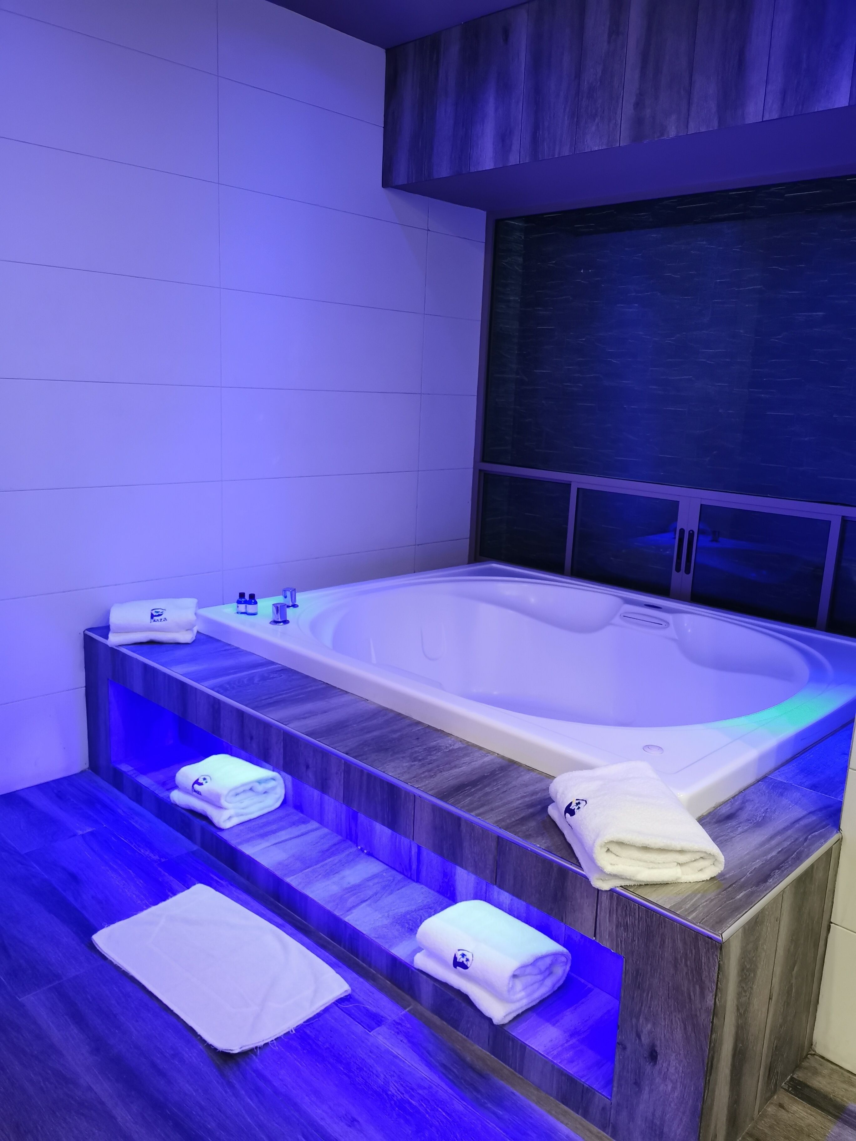 Photo - Hotel Plaza Arteaga