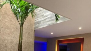 A potted plant in a terracotta pot, a tiled floor, and a wall with a recessed light fixture. - Hotel Plaza Arteaga (Monterrey)