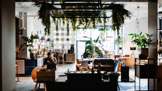 Un interior moderno con una mesa de comedor de madera, sillas y plantas colgantes.