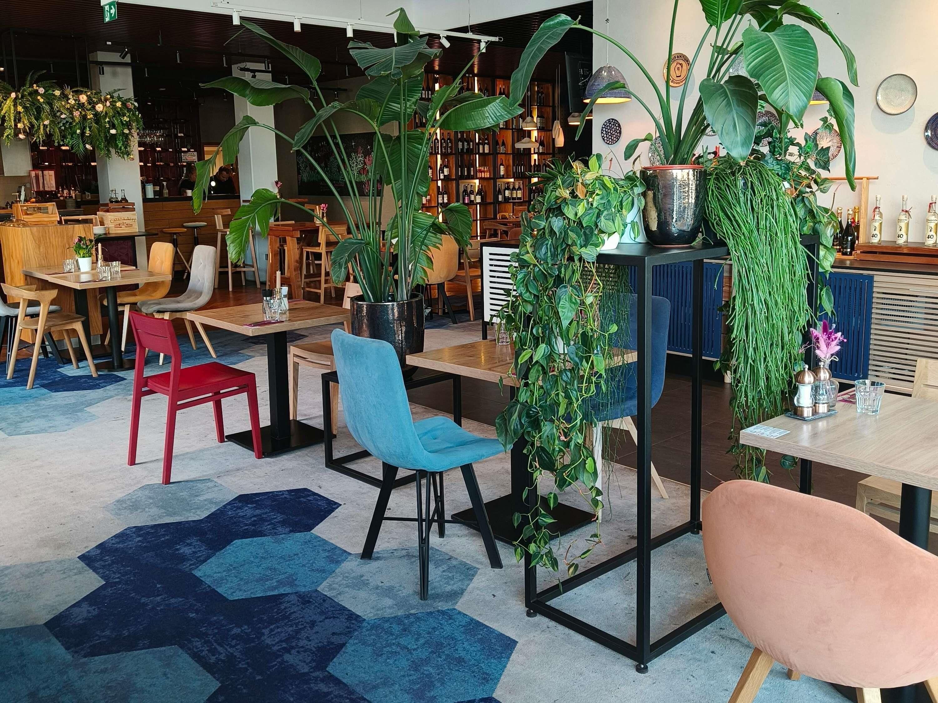 international cuisine