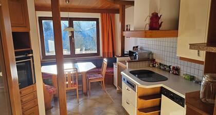 Cet appartement est situé dans les Alpes à cÎté des pistes de ski et des lacs de montagne.