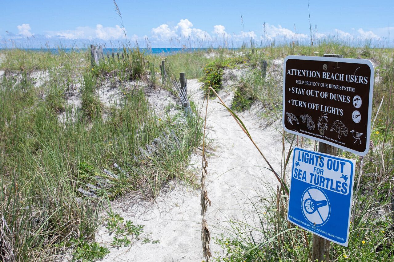 Un sentier bordant la plage, agrémenté de panneaux informant les usagers de la plage de ne pas s’approcher des dunes, d’éteindre les lumières et de préserver l’écosystème des dunes.