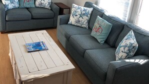 电视、壁炉、DVD 播放器