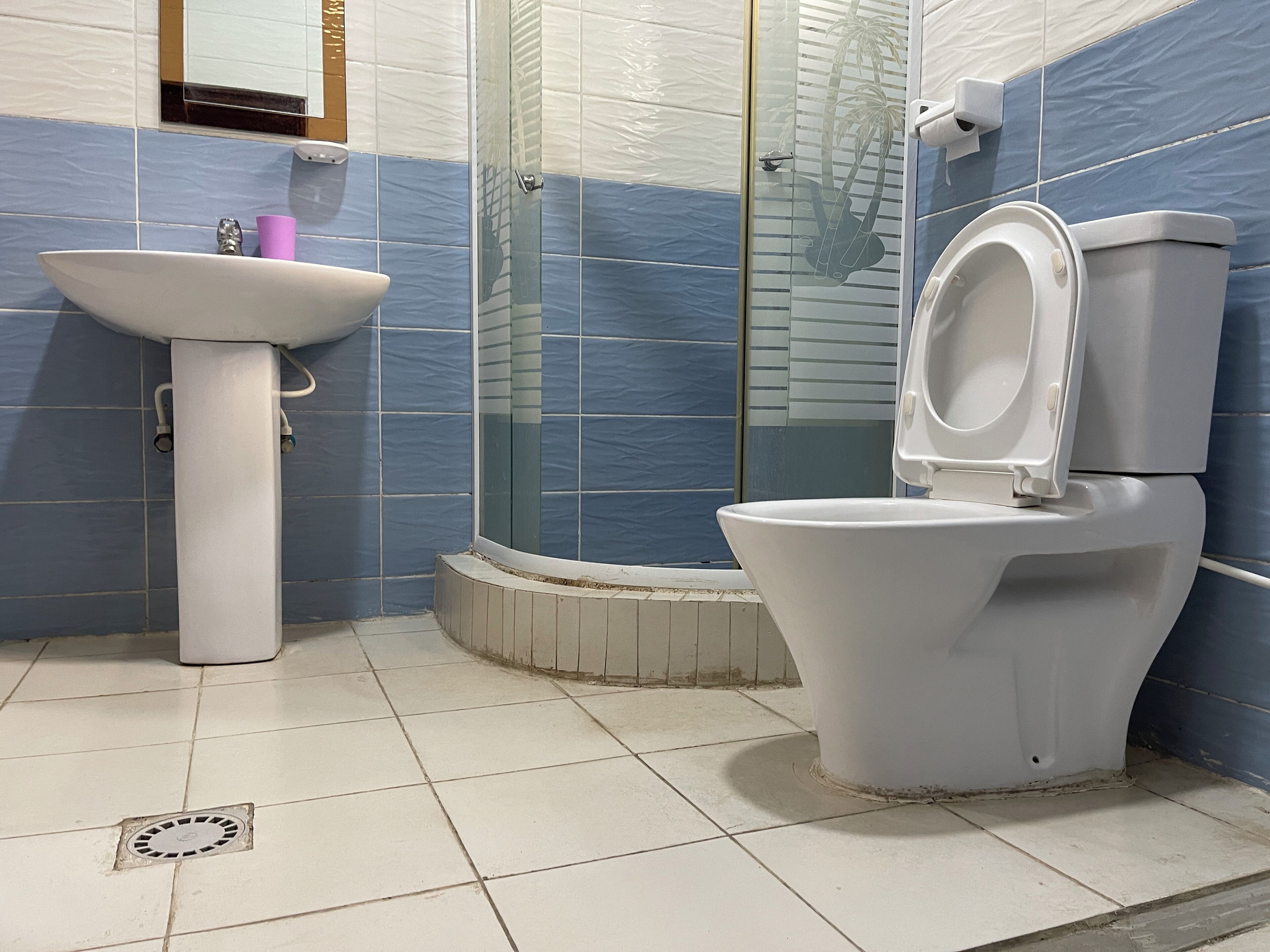A bathroom with a toilet, sink, and shower.