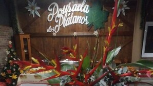 A buffet table with various food items and a decorative plant centerpiece. - Pousada dos Plátanos (Nova Petropolis)