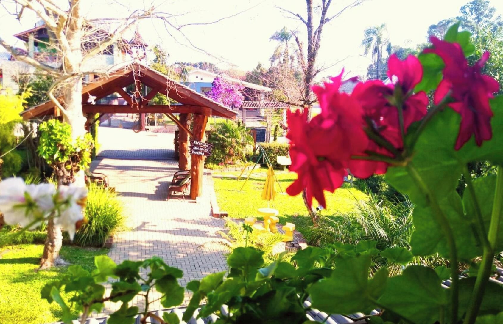 Um caminho no jardim leva a um gazebo de madeira com um banco, cercado por vegetação exuberante e plantas floridas.