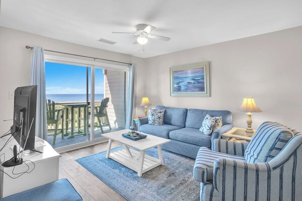 Télévision, lecteur de DVD, livres, vidéothèque