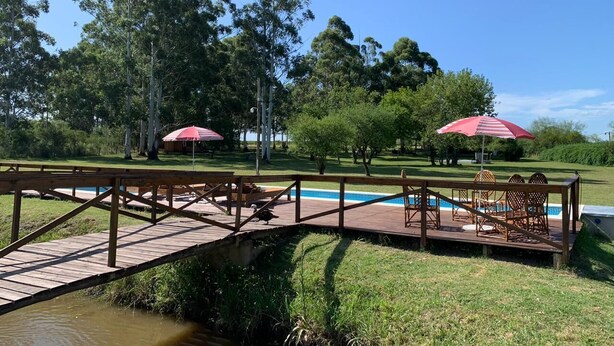 Una terraza de madera con piscina, rodeada de árboles y dos sombrillas rojas.
