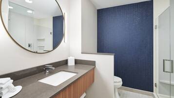 Une salle de bain moderne avec un grand miroir, un lavabo et des toilettes.