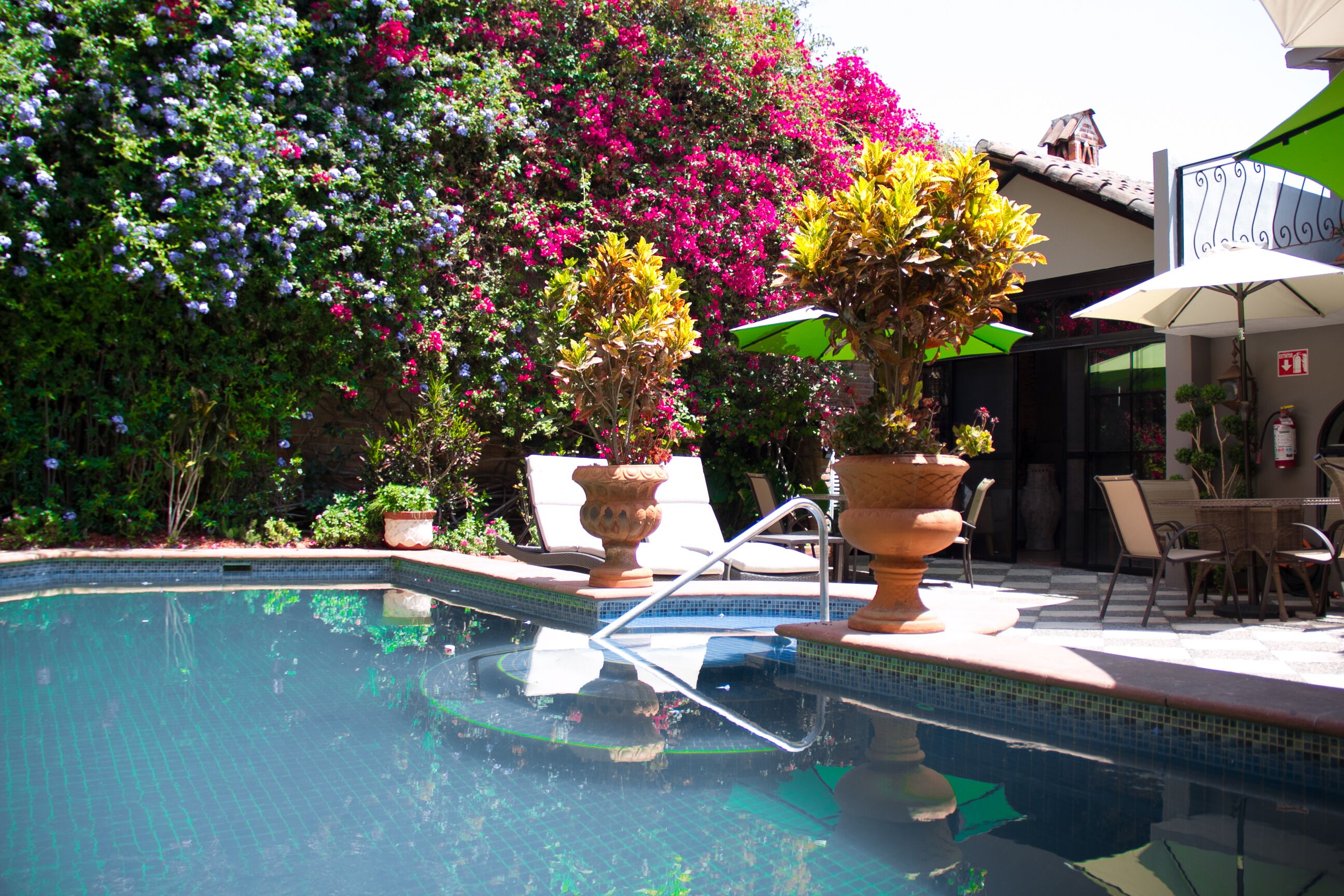 Una piscina con borde de azulejos, rodeada de plantas en macetas y mobiliario de exterior.