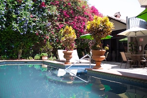 A swimming pool with a tiled edge, surrounded by potted plants and outdoor furniture.