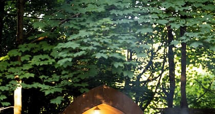 Hollington Park Glamping
