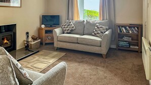 Una sala de estar acogedora con un sofá, una chimenea, un televisor y una estantería.