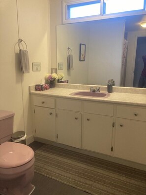 Combined shower/tub, hair dryer, towels, soap - Spacious 2 bedroom suite on private lot (Pemberton)
