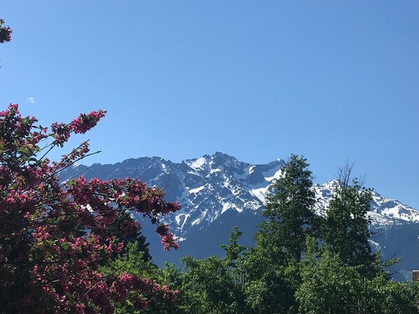 Unclassified image, 1 of 26, button - Spacious 2 bedroom suite on private lot (Pemberton)