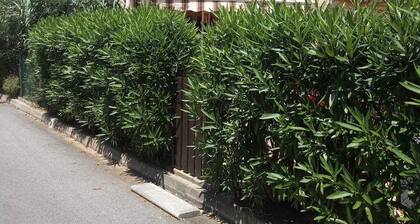 Studio proche plage de sable fin