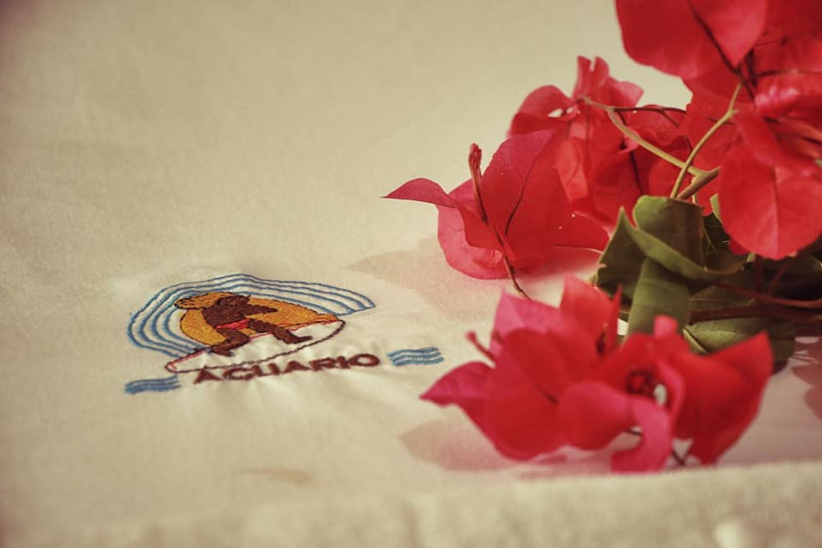 Foto - Hotel Bungalows Acuario