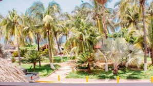 Un jardín tropical con palmeras y un cartel que dice 'XCAANDA'.
