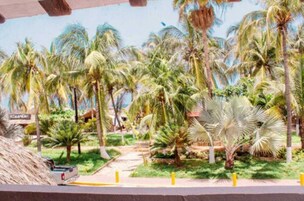 Vista desde la habitación