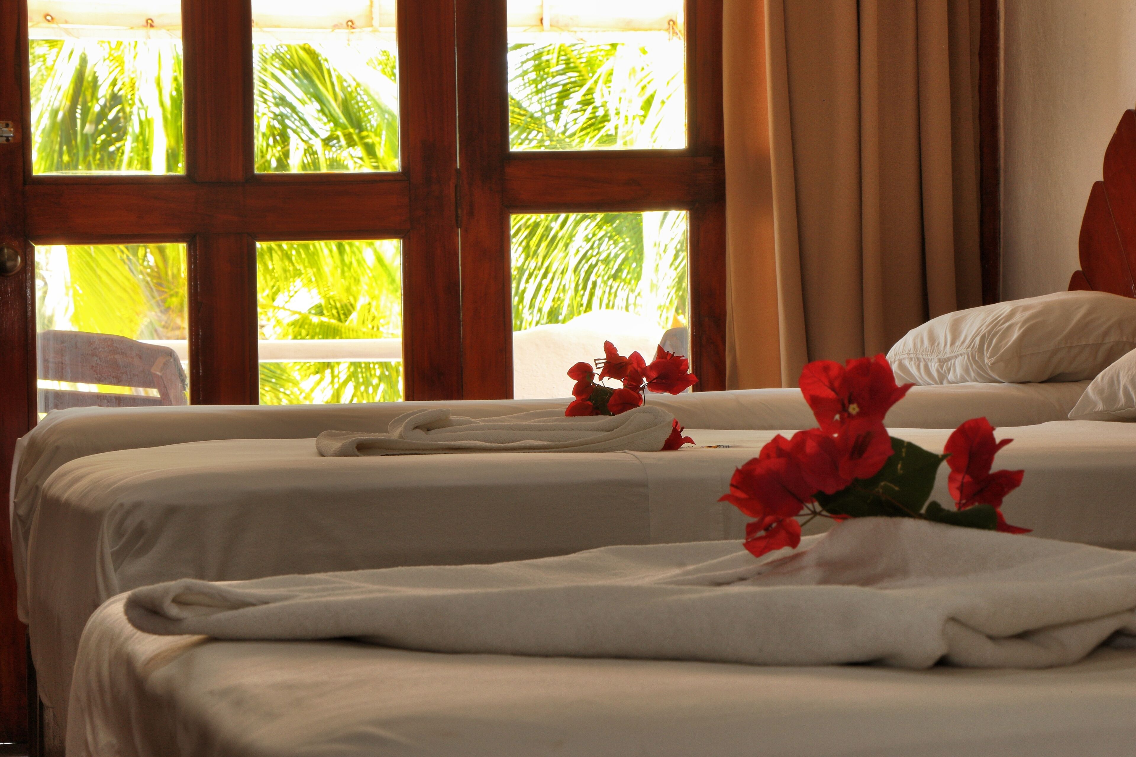 Foto - Hotel Bungalows Acuario