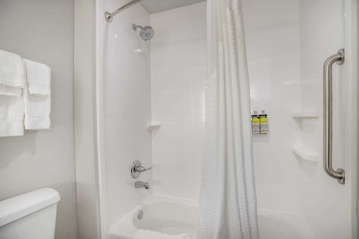 combined shower/bathtub, designer toiletries, hair dryer, towels
