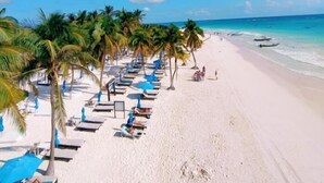 Una spiaggia con file di lettini, palme, cielo sereno e l'oceano sullo sfondo.