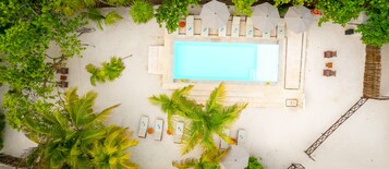 Vista aérea de uma área de piscina com uma piscina retangular, rodeada por palmeiras e cadeiras de descanso.