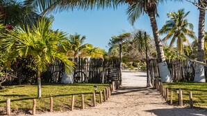 Un sentiero sabbioso che conduce a una spiaggia, con palme e recinzioni in legno.